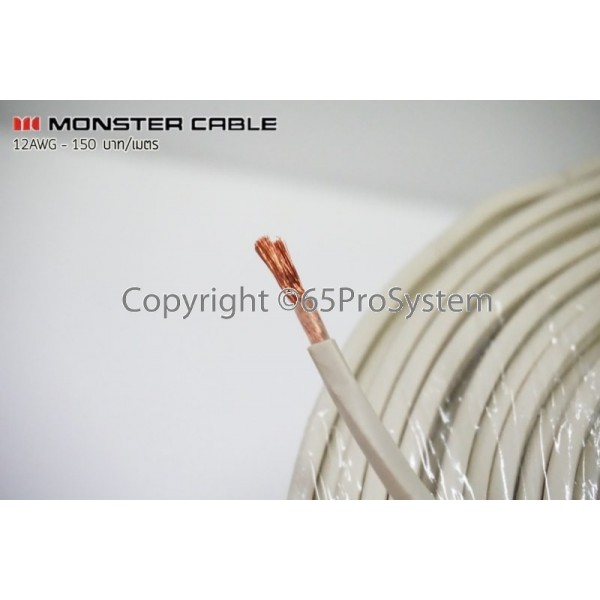 monster xp nw speaker cable